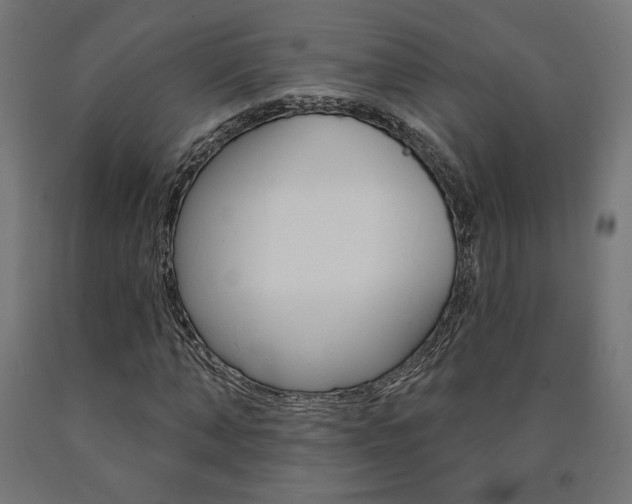X0000090980870200708021139
