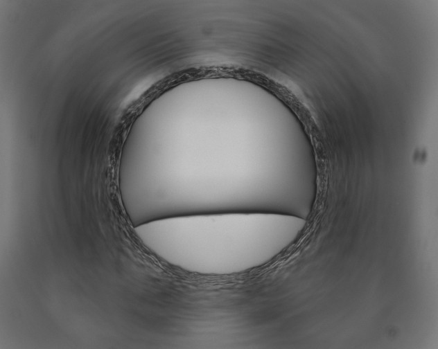 X0000090980871200708021139