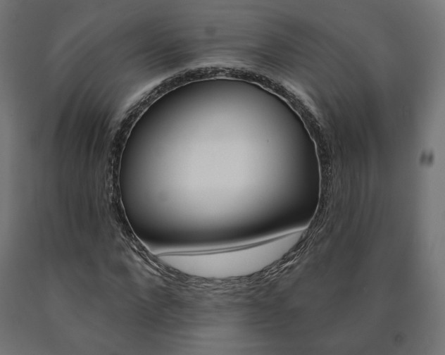 X0000090980872200708021139