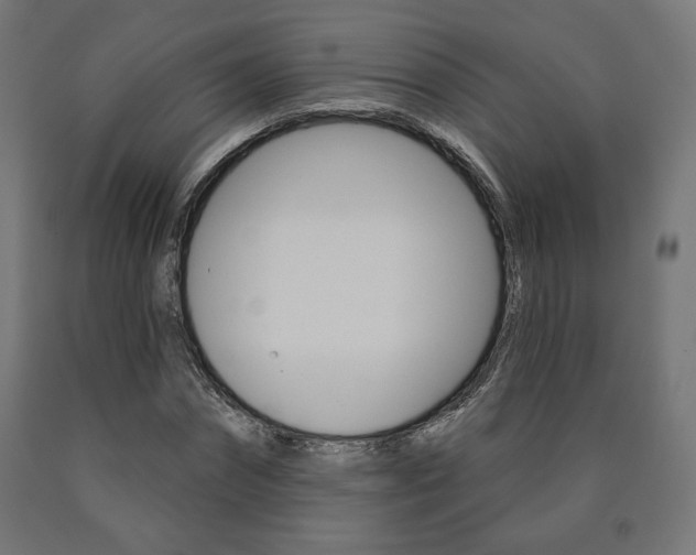 X0000090980874200708021139
