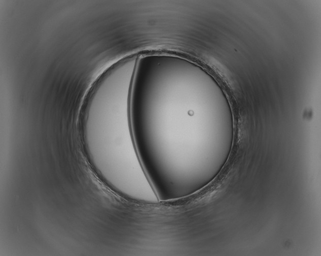 X0000090980876200708021139