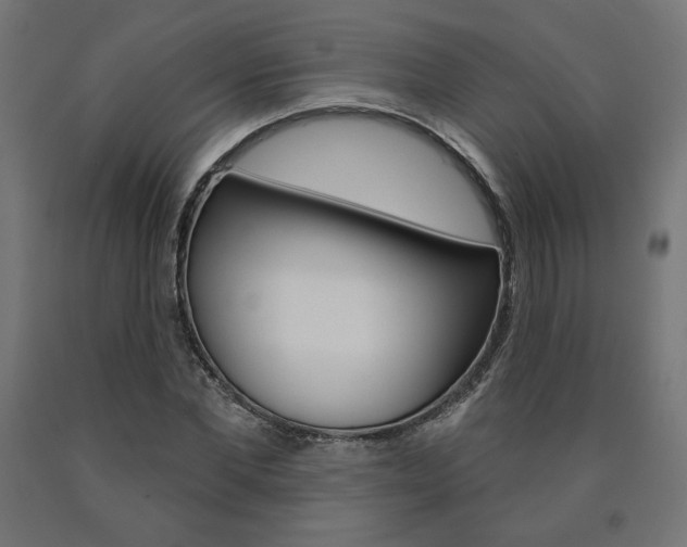 X0000090980877200708021139