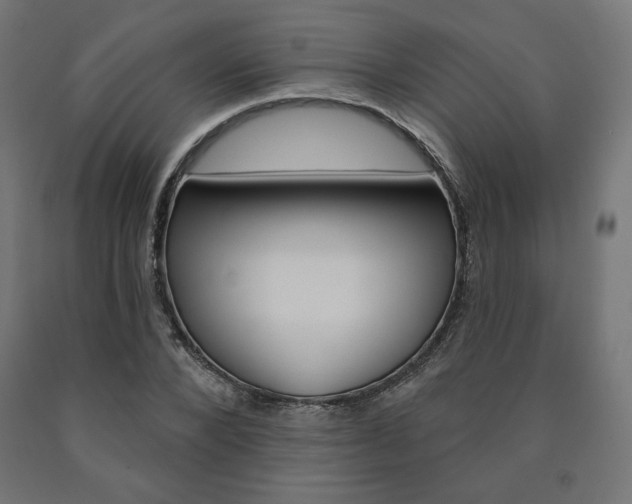X0000090980880200708021139