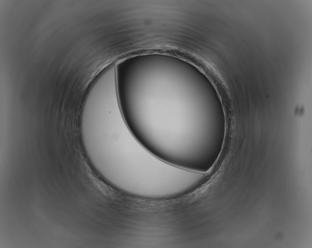 X0000090980881200708021139