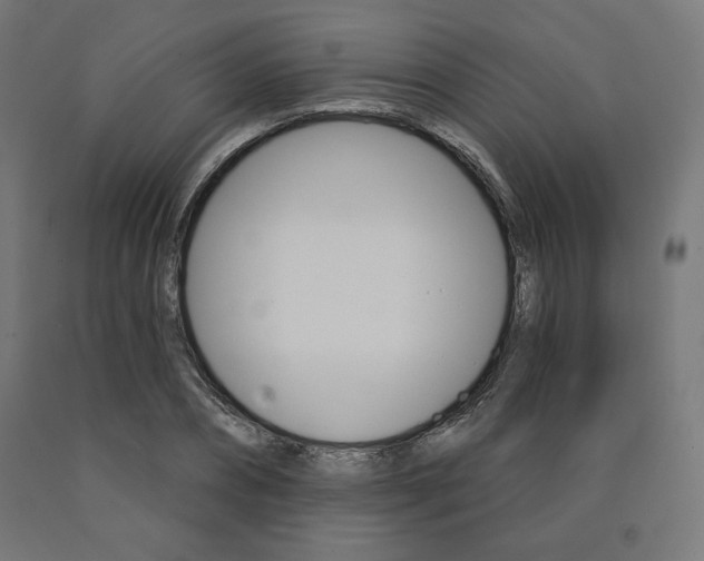 X0000090980882200708021139