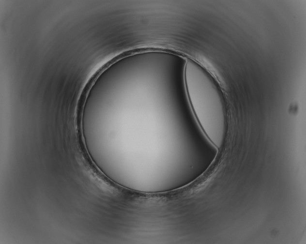 X0000090980884200708021139