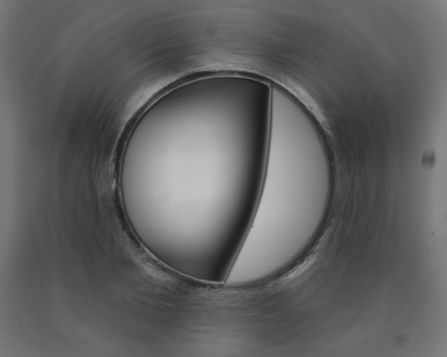 X0000090980885200708021139