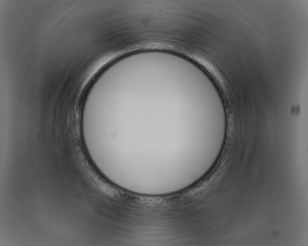 X0000090980886200708021139