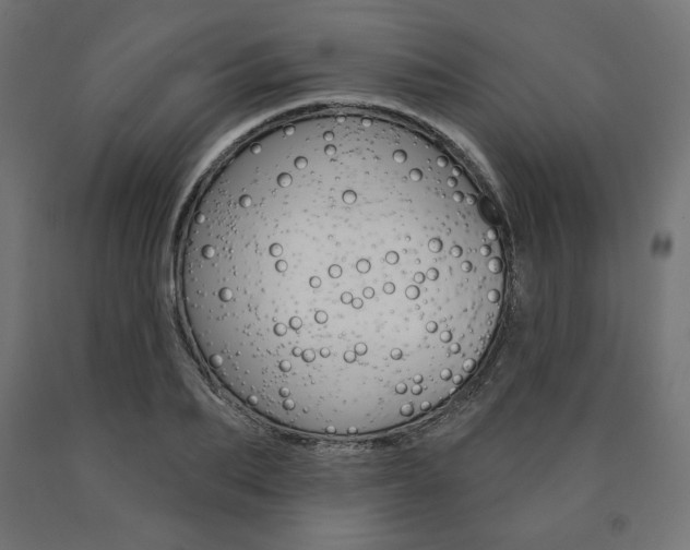 X0000090980887200708021139