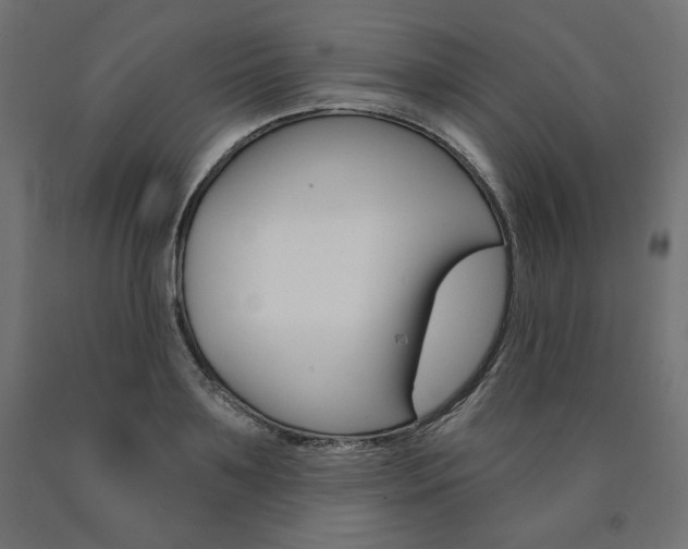 X0000090980891200708021139