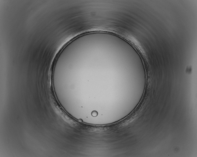 X0000090980892200708021139