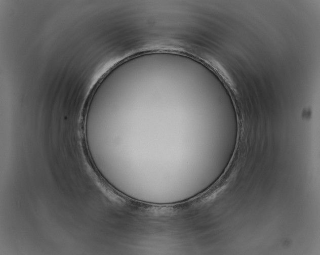 X0000090980893200708021139