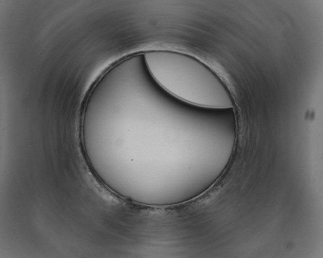 X0000090980896200708021139