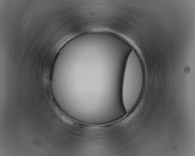 X0000090980897200708021139