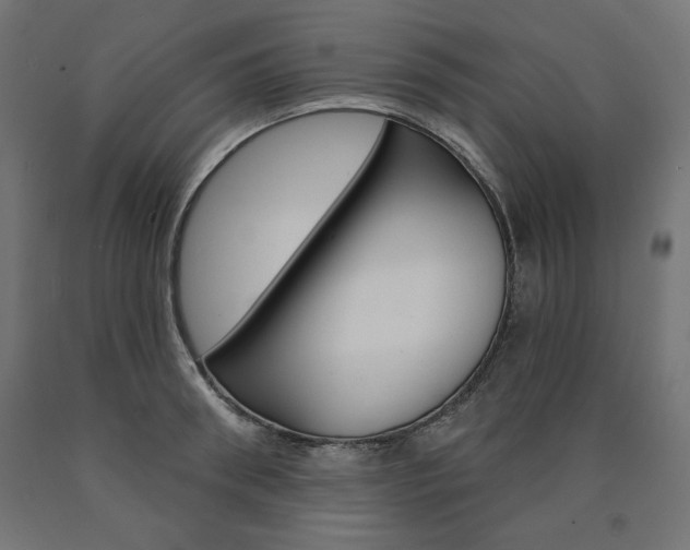 X0000090980898200708021139