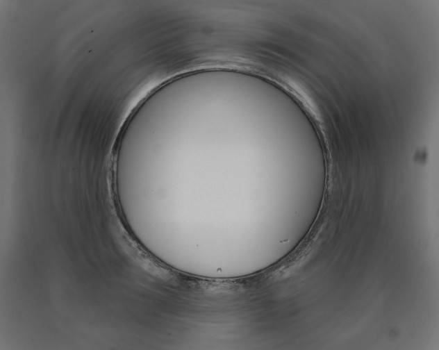 X0000090980899200708021139