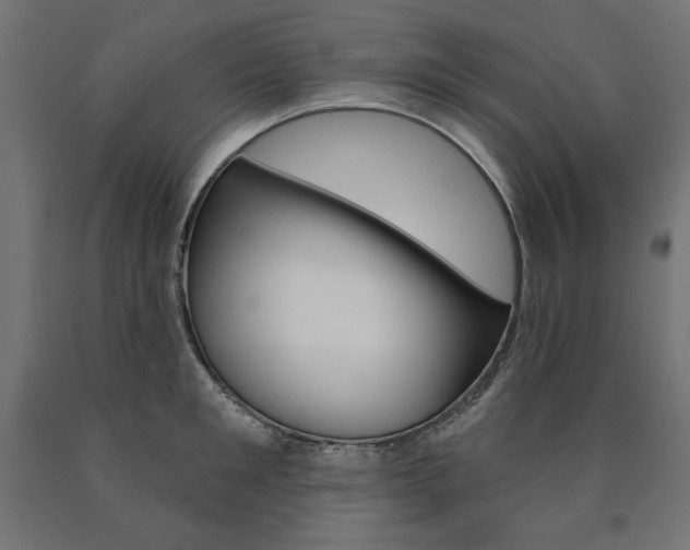 X0000090980901200708021139