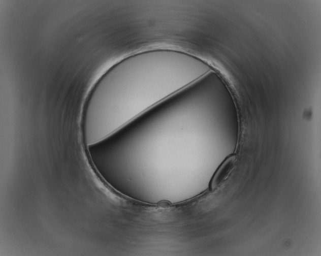 X0000090980902200708021139