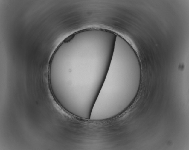 X0000090980903200708021139