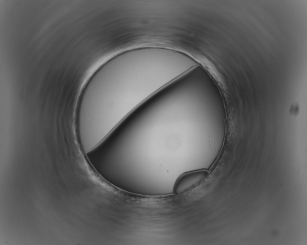 X0000090980904200708021139