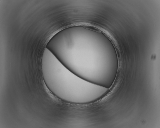 X0000090980905200708021139