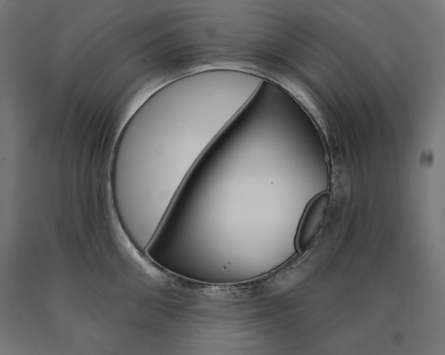 X0000090980906200708021139