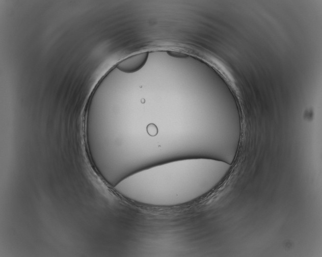 X0000090980907200708021139