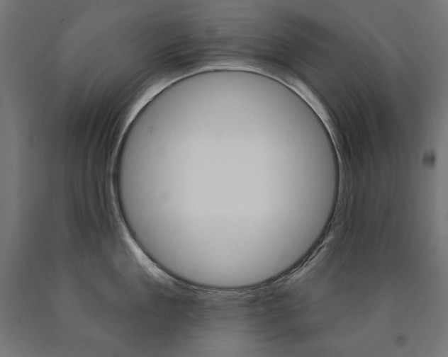 X0000090980909200708021139
