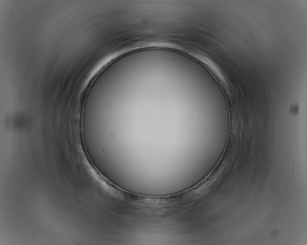 X0000090980910200708021139