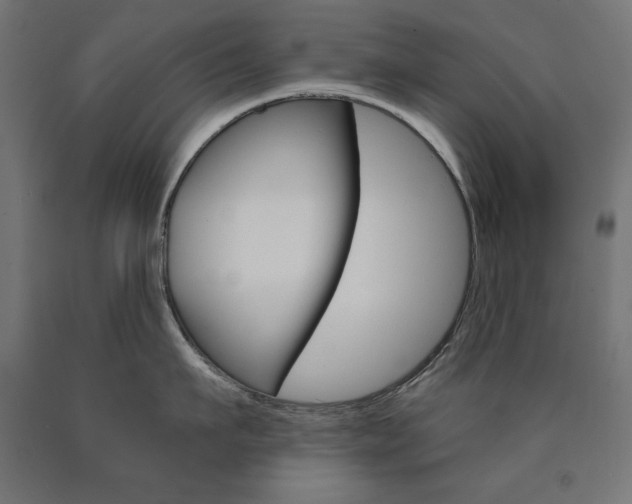 X0000090980911200708021139