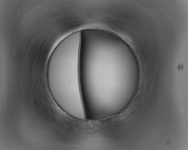 X0000090980912200708021139
