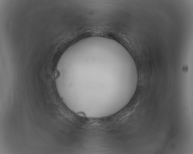 X0000090980913200708021138