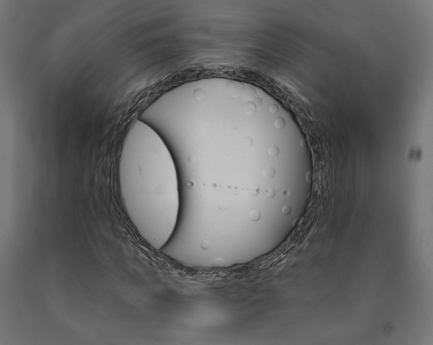 X0000090980917200708021138