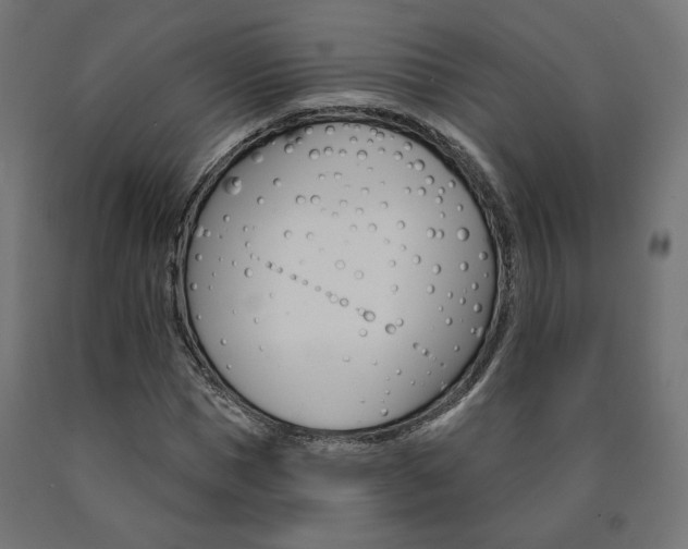 X0000090980921200708021138