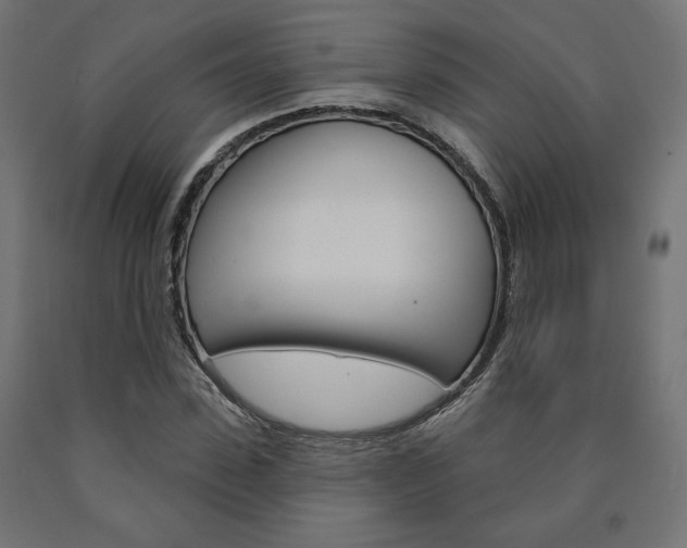 X0000090980923200708021138
