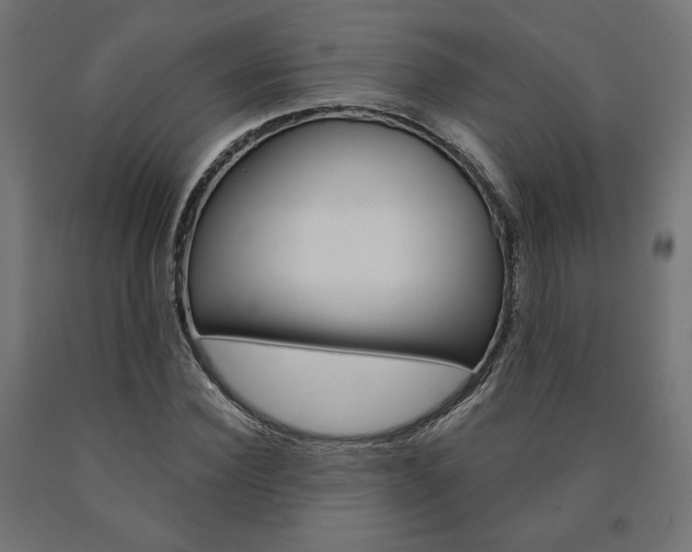 X0000090980924200708021138