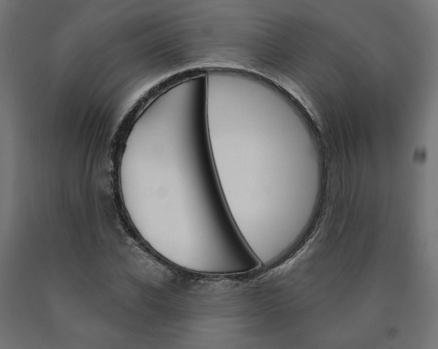 X0000090980926200708021138