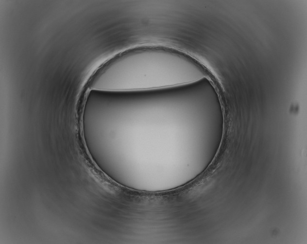 X0000090980927200708021138