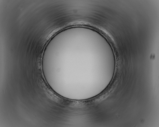 X0000090980929200708021138
