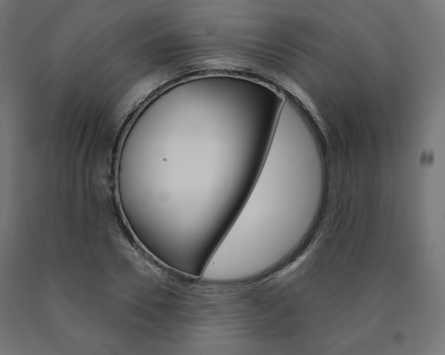 X0000090980930200708021138
