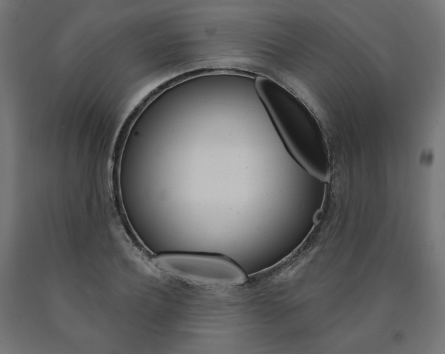 X0000090980932200708021138