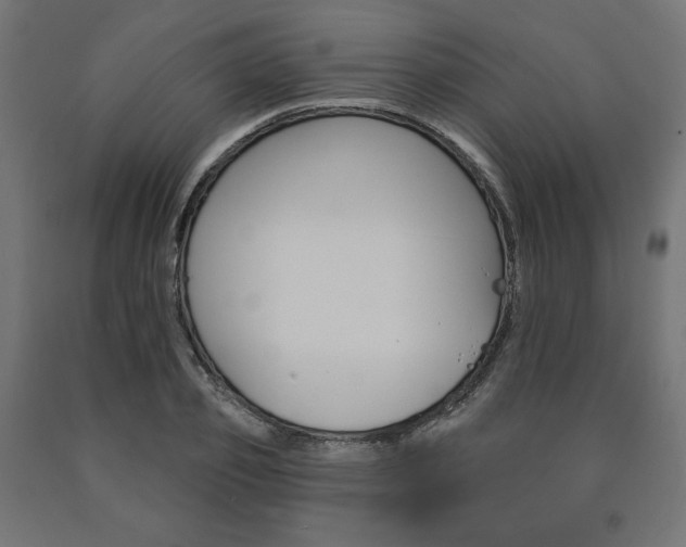 X0000090980933200708021138