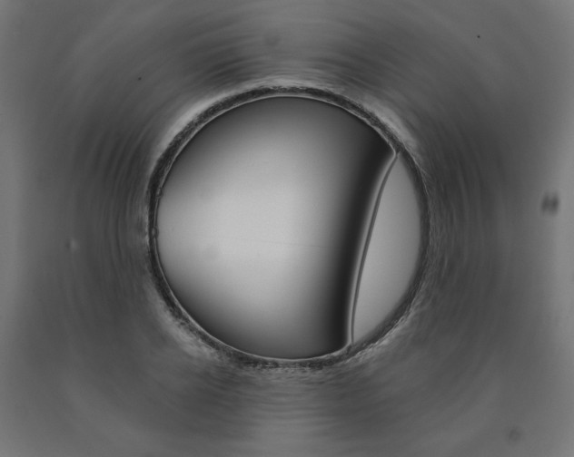 X0000090980934200708021138