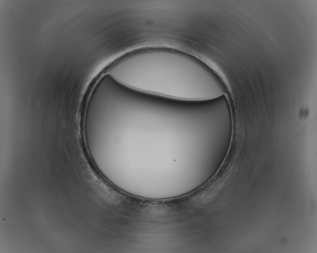 X0000090980935200708021138