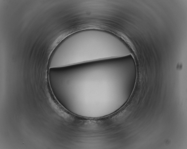 X0000090980938200708021138