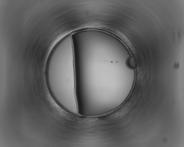 X0000090980939200708021138