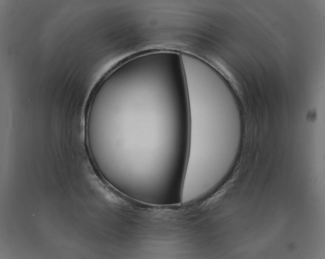 X0000090980940200708021138