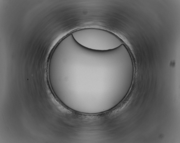 X0000090980941200708021138