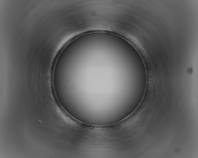 X0000090980942200708021138