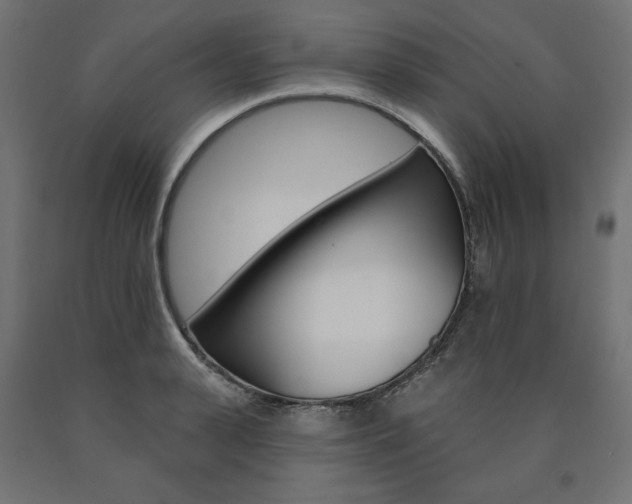 X0000090980943200708021138